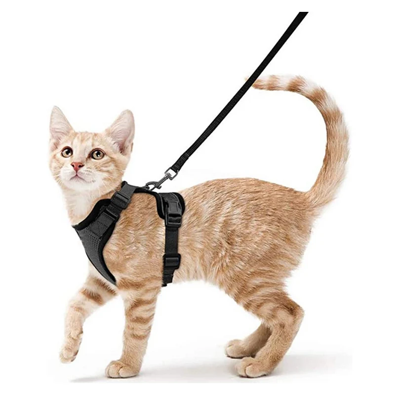 Katzengeschirr und Leine zum Spazierengehen, auslaufsichere, weiche, verstellbare Weste, Geschirre für Katzen, EasyControl