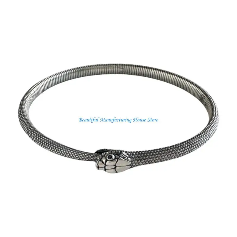 E56A Ouroboros Circ…