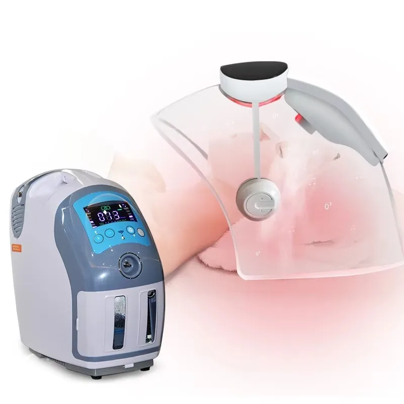 2‑in‑1 LED Facial Steam Beauty Helmet, Moisturizing Face Sprayer Machine, Multi‑Color Light Home Skin Care Device