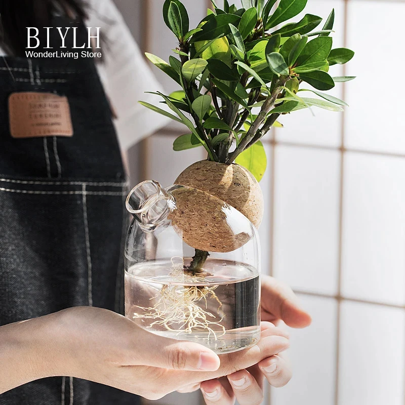 Glass Small Vase Transparent Hydroponic Plant Vase With Bamboo Tray Home decoration Planting Green Plants Small Flower Bottle