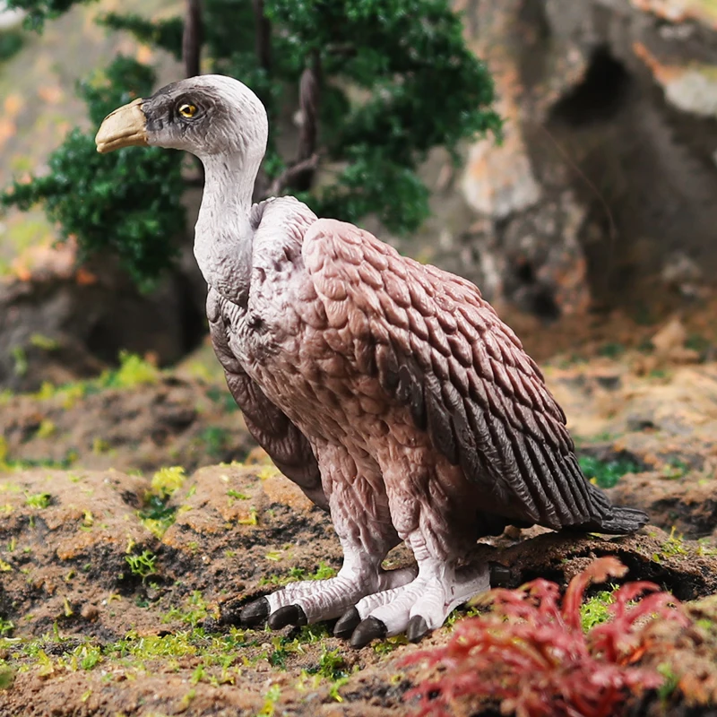 Oenux dzikie ptaki zwierzęta las nocny orzeł Condor figurki pcv figurka dekoracja ogrodowa edukacja miniaturowa zabawka prezent dla dzieci