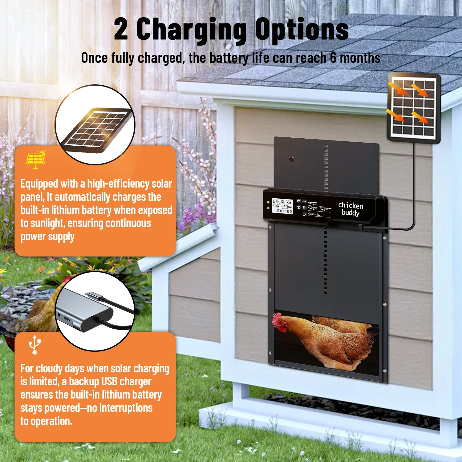 HHD WONEGG  Four Modes Solar W - Automatic Chicken Door Opener Solar ulasan dan harga
