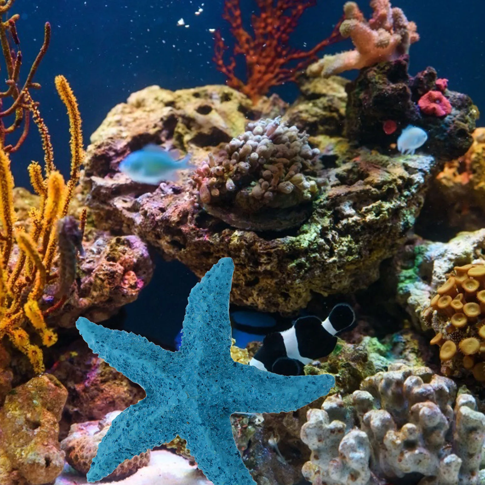 

2Pcs Sea Star Decor Realistic Artificial Marine Animals Resin Craft for Fish Tank Aquarium Decorative Landscaping