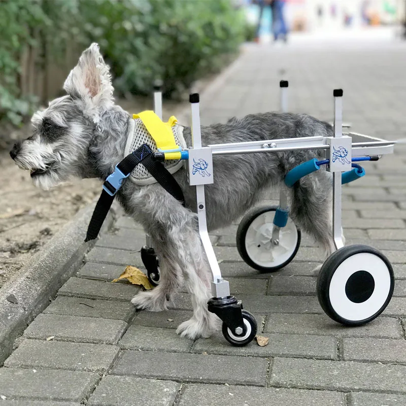 2024 Nordic Four Wheel Space Aluminum Dog Wheelchair Size S/M/L/XL Korea Teddy Limbs Pet Disability Training Rehabilitation Car