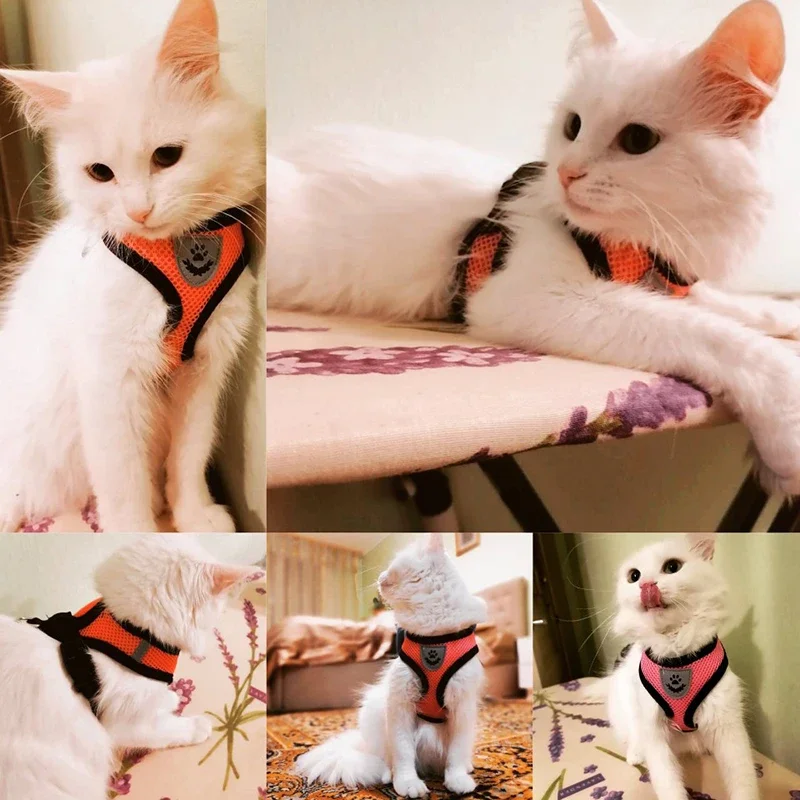 Breathable Summer Pet Harness Set 2