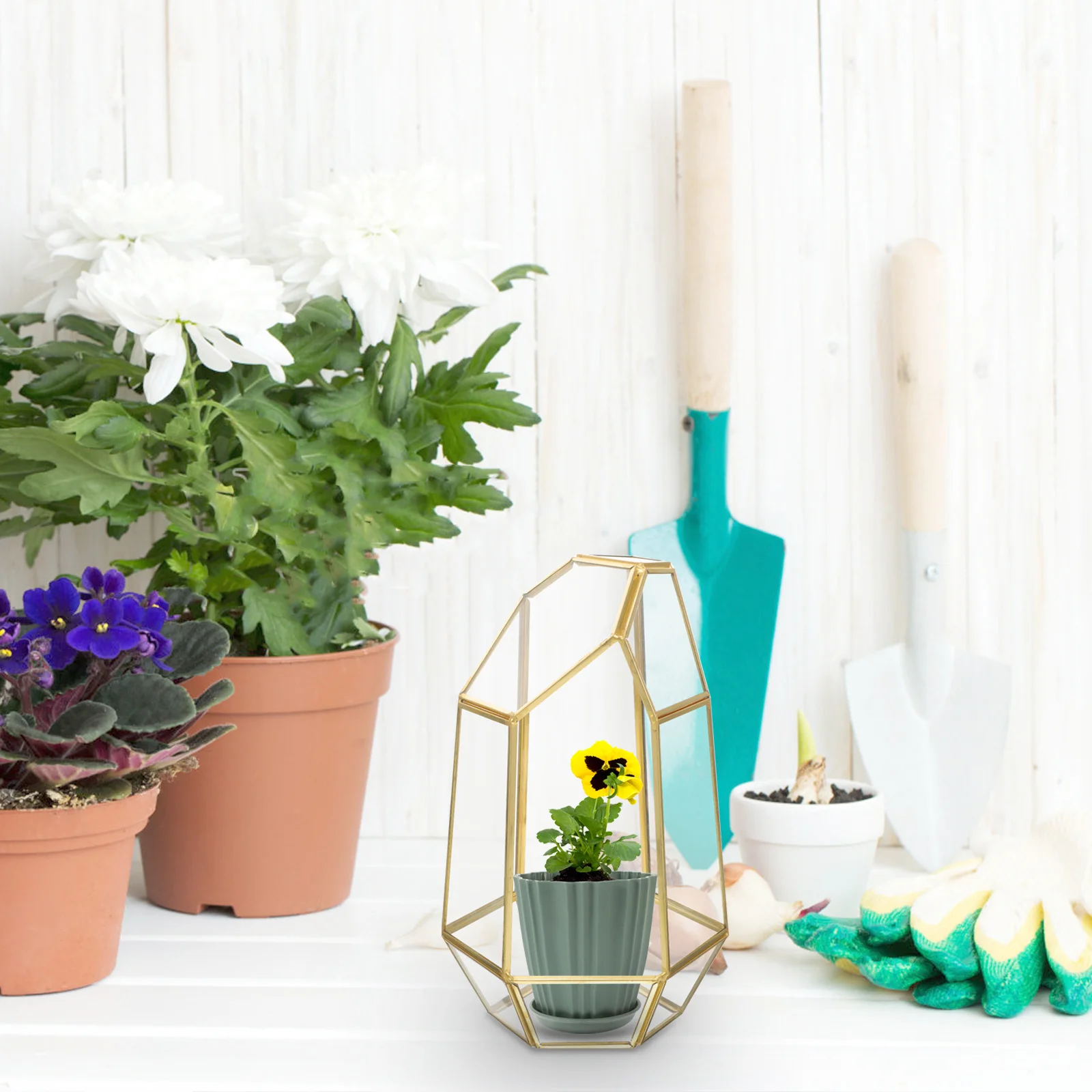 1Pcs Clear Glass Geometric Terrarium Artistic Cube Ideal for Succulent Plant Container Tabletop Home Patio Decoration