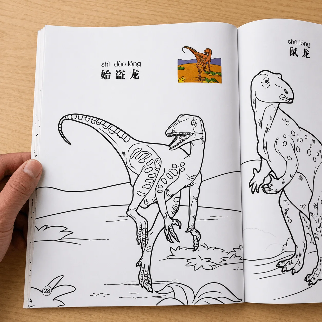 Kids Coloring Series: Dinosaur Coloring Book – Learn to Color & Create for Young Artists