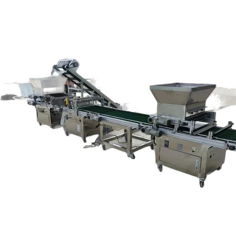 Automatic seedling machine for vegetable greenhouses, automatic needle suction type hole planter