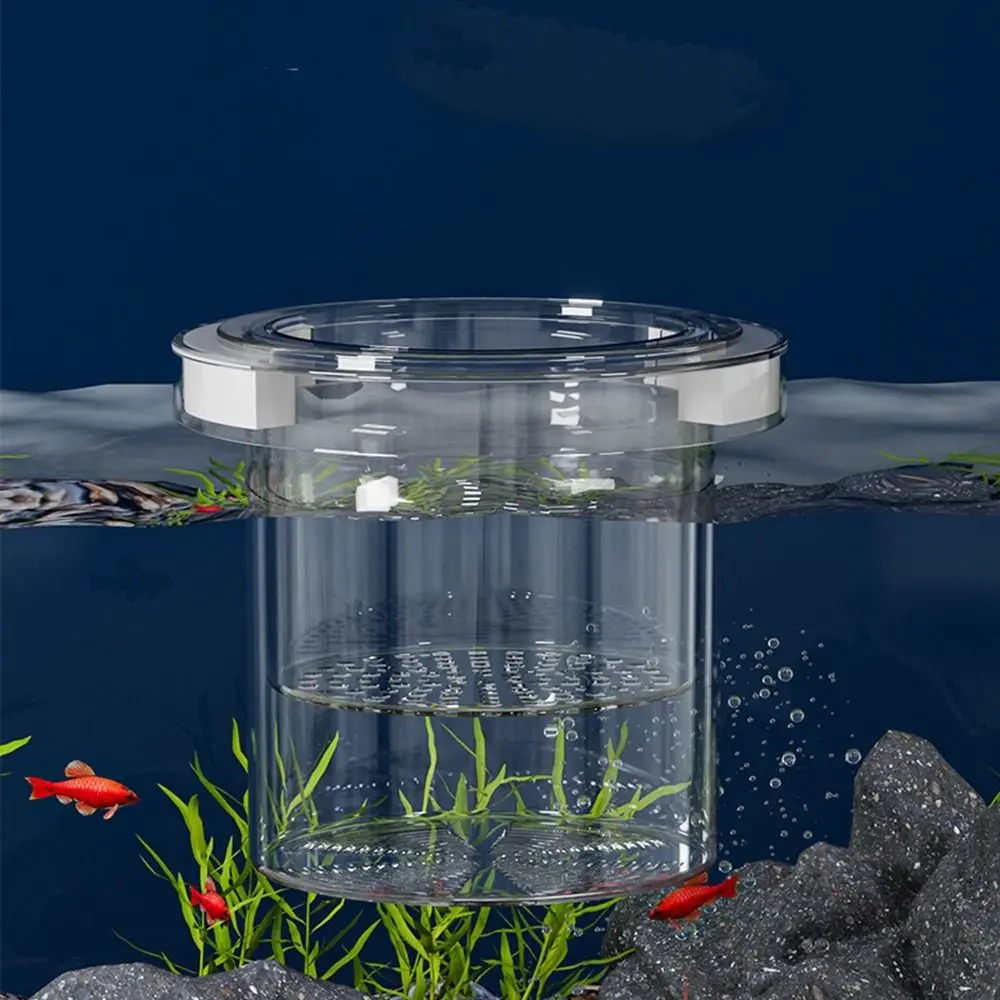 

Acrylic Floating Fish Breeding Isolation Box Suspension Feeding Aquarium Breeder Feeder Ornamental Transparent Fish Breeding Box