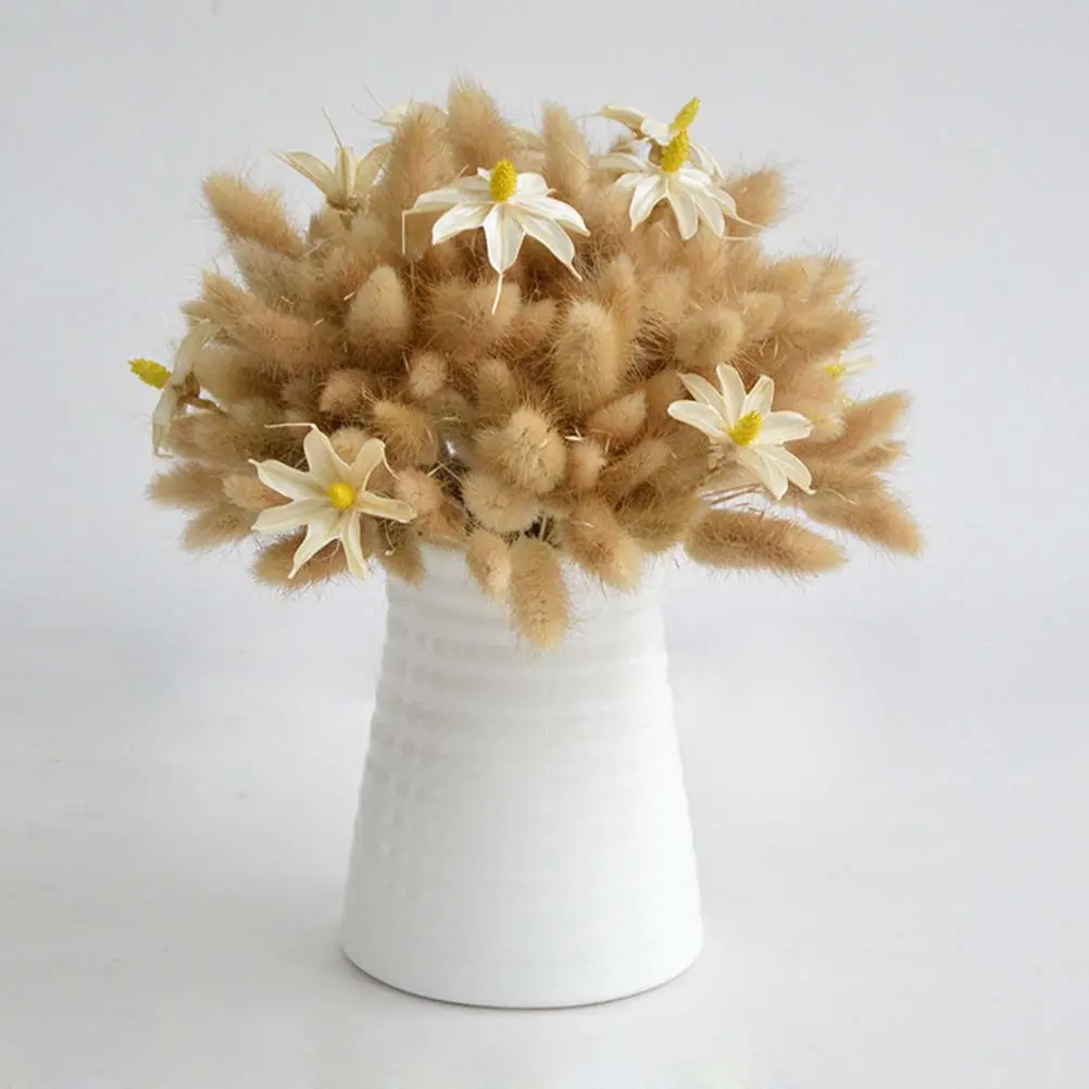 50 Piezas de Cola de Conejo, Hierba Seca, Plantas Naturales, Flores Decorativas, Decoración Rústica para el Hogar, Accesorios para Fotos, Hierba Seca Pennisetum