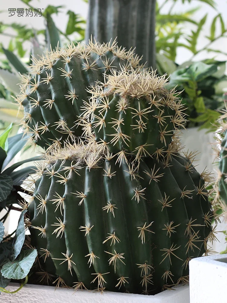 Simulation Cactus Large Plant Decoration Immortal Column Bonsai Floor Window Decoration Living Room Decoration