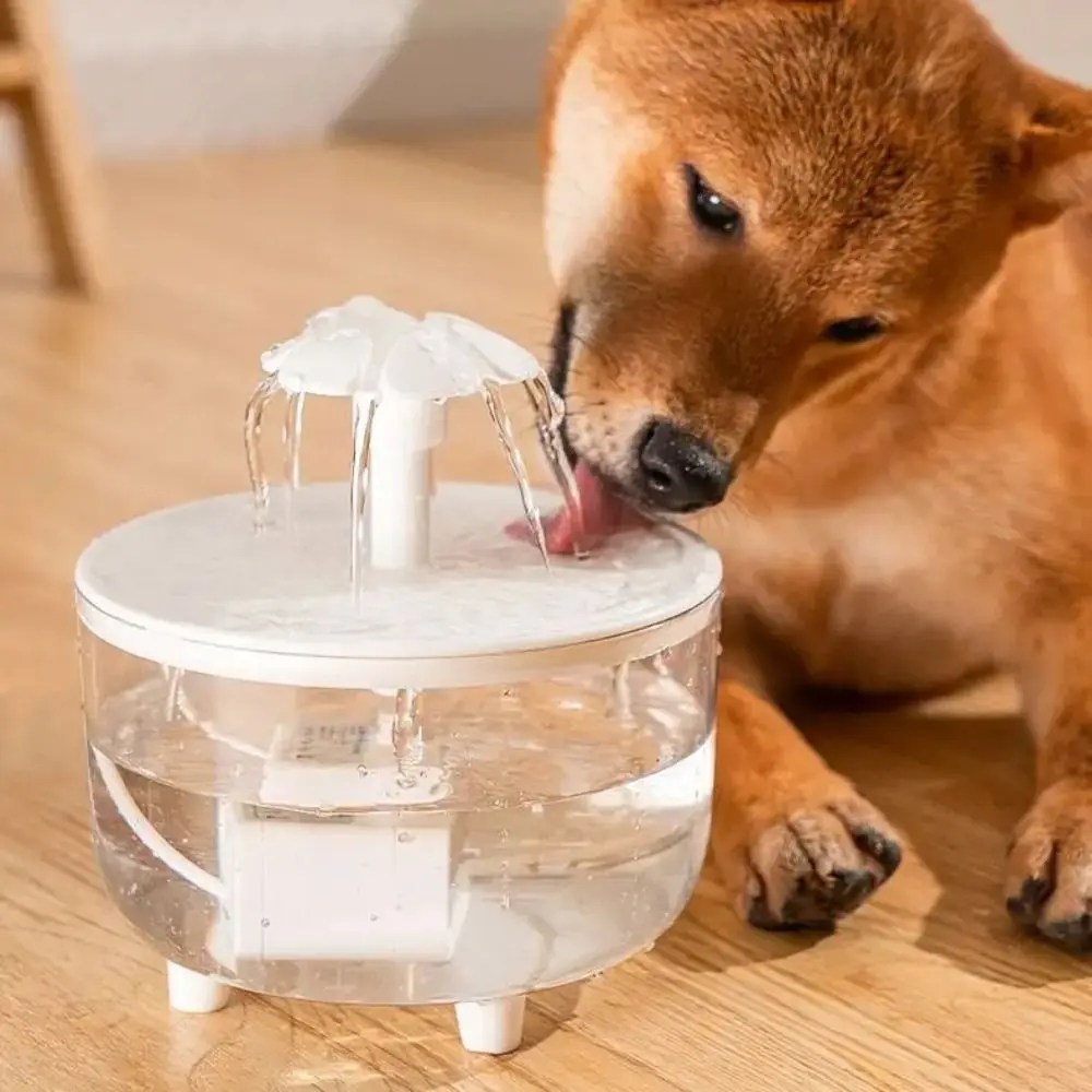 New Transparent Pet Water Fountain USB Mute Water Filter Automatic Circulating with Petal Water Dispenser Cat/Dog