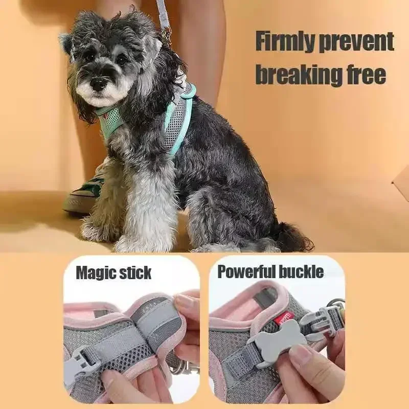 Cats Dog Accessories Small Dog Collar Safety Vest Pet Chest Rope Dogs Cover Breathable Adjustable Harnesses Supplies Products, image 3