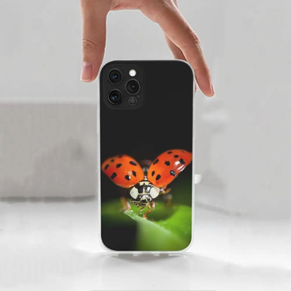 Funda de teléfono con forma de mariquita y insecto para iPhone 16,15,14,13,12,11 Plus,Pro,Max,XR,XS,X,7,8 Plus,SE,Mini, transparente, funda de silicona