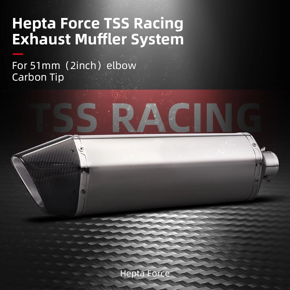 Exhaust Muffler System Hepta Force TSS Racing For z900 cbr650 z1000 r1 r3 Tmax560 z400 r7 - view 2