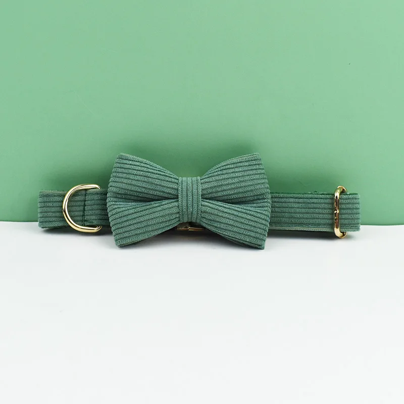 Ensemble collier et laisse en velours côtelé vert foncé pour chiens, plaque signalétique gravée personnalisée, fournitures pour animaux de