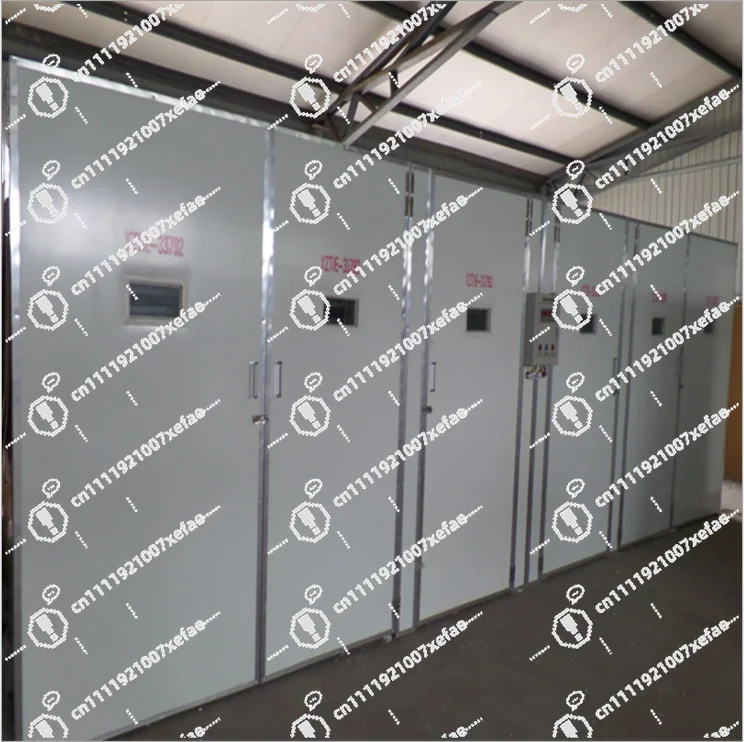 High Hatching Rate Second Hand 10,000 Eggs for Sale Snail Breeding Incubator for Sale