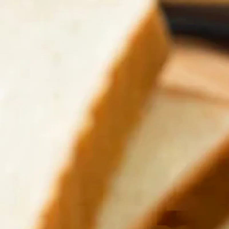 Handy Solid Butter Spreader Holders Sticks Storage Container Cheese Keeper Case