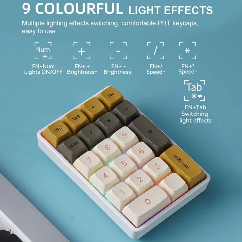 21-Key Mechanical Keyboard, Bluetooth/2.4Ghz/USB-C Connection, Colourful Lighting, Full Key Hot-Swap Mini Keypad for PC Laptops