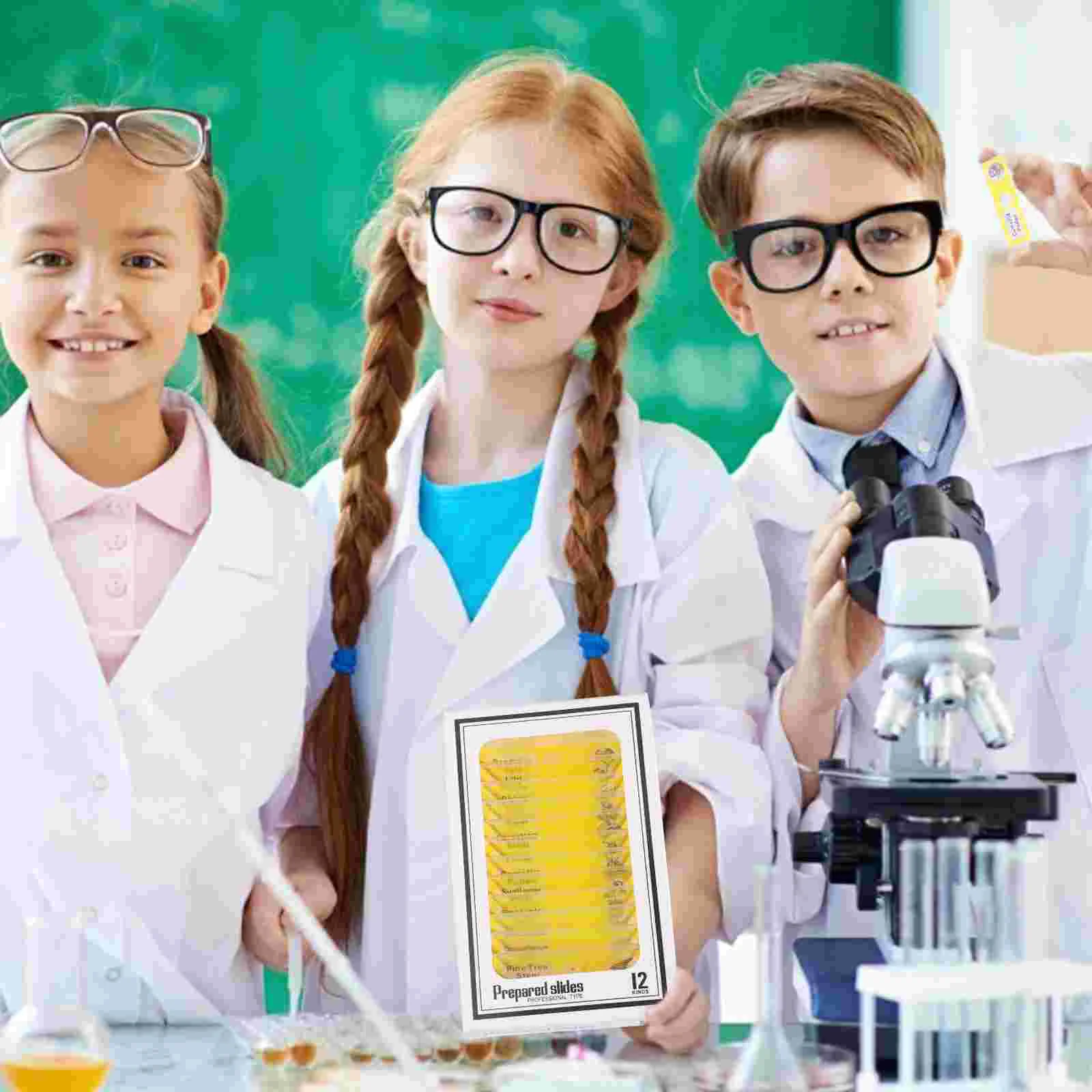 48-delige biologische specimenplak monstermicroscoopglaasjes kindergereedschap accessoires voorbereide insectencollectie