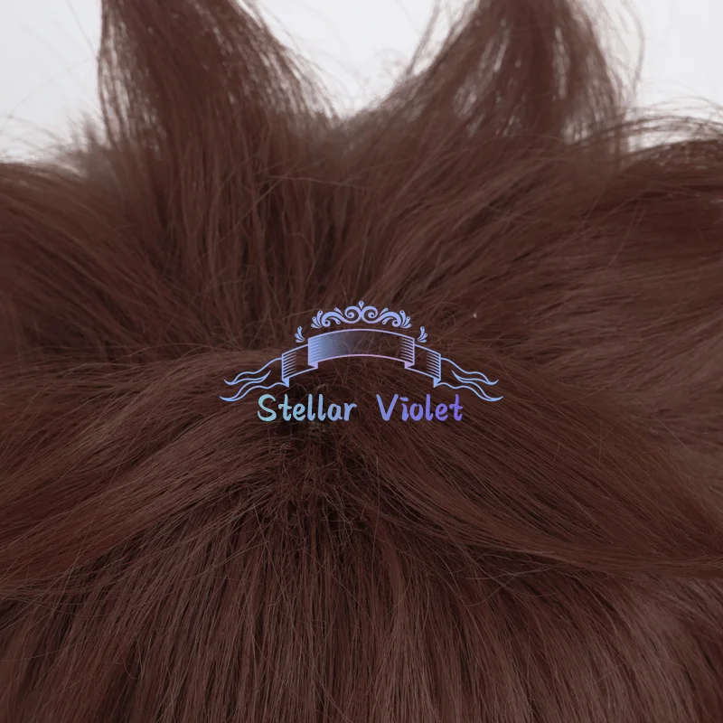 أنيمي هيتمان تولد من جديد! Sawada Tsunayoshi شعر مستعار تأثيري البني 30 سنتيمتر الشعر القصير مقاومة للحرارة الاصطناعية الشعر أنيمي الباروكات + غطاء شعر مستعار #4