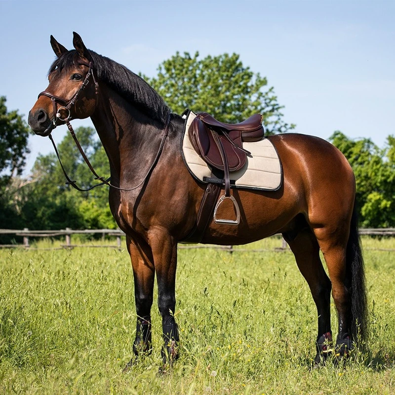 Cowhide saddle, obstacle saddle riding equipment