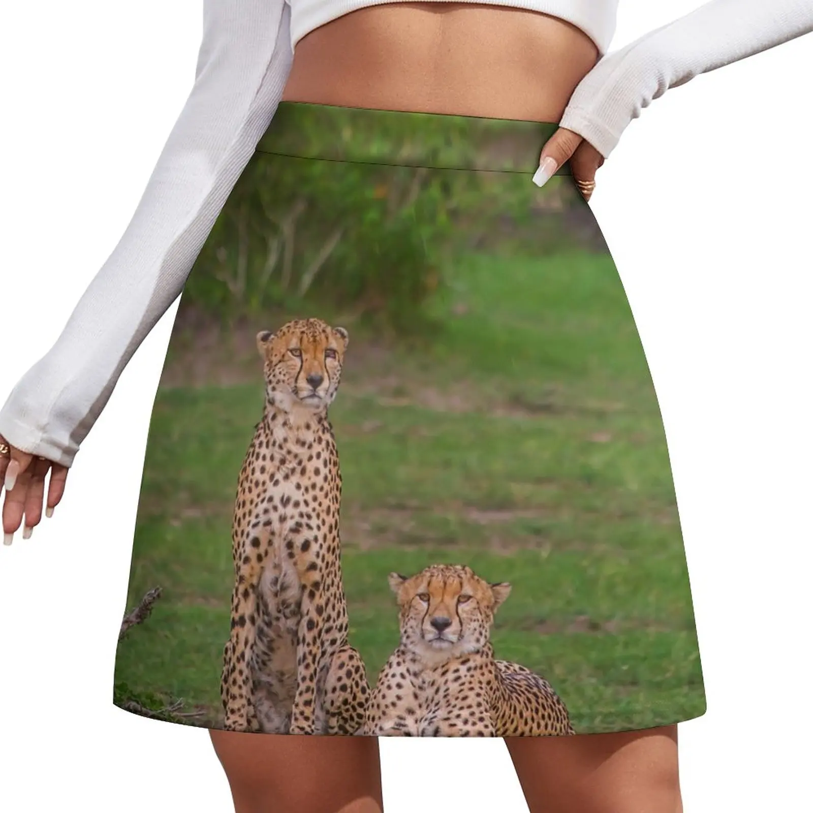 

Kenya. Maasai Mara National Reserve. Cheetahs. Two Brothers. Mini Skirt korean style clothes Summer skirt Women skirts