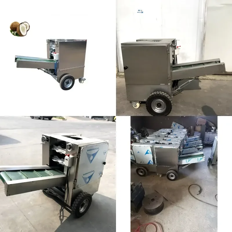 Hot Sale Automatic Coconut Peeling Machine Shell Remover Polishing Device for Coconut Processing