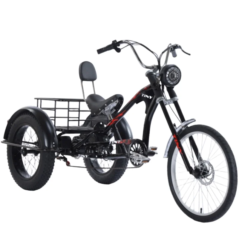 3 Wheel Fat Tire Electric Tricycle for Lithium Battery 350W 48V 20 Inch Retro Electric Cargo Bicycle For Adults Men Senior