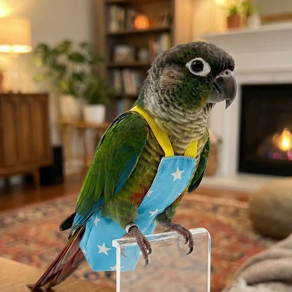 

Cute Adjustable Bird Flight Suits Escape Proof Breathable Parrot Flying Harness Feces Pocket Bird Flight Clothes Pet Walking