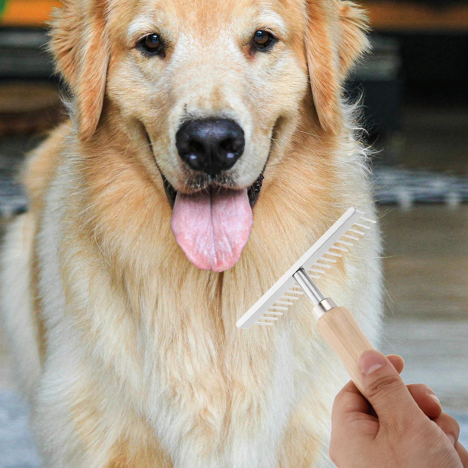 

Pet Hair Removal Tool Cattle Scratcher Comb Dematting with Wood Handle Brush Dog Glove