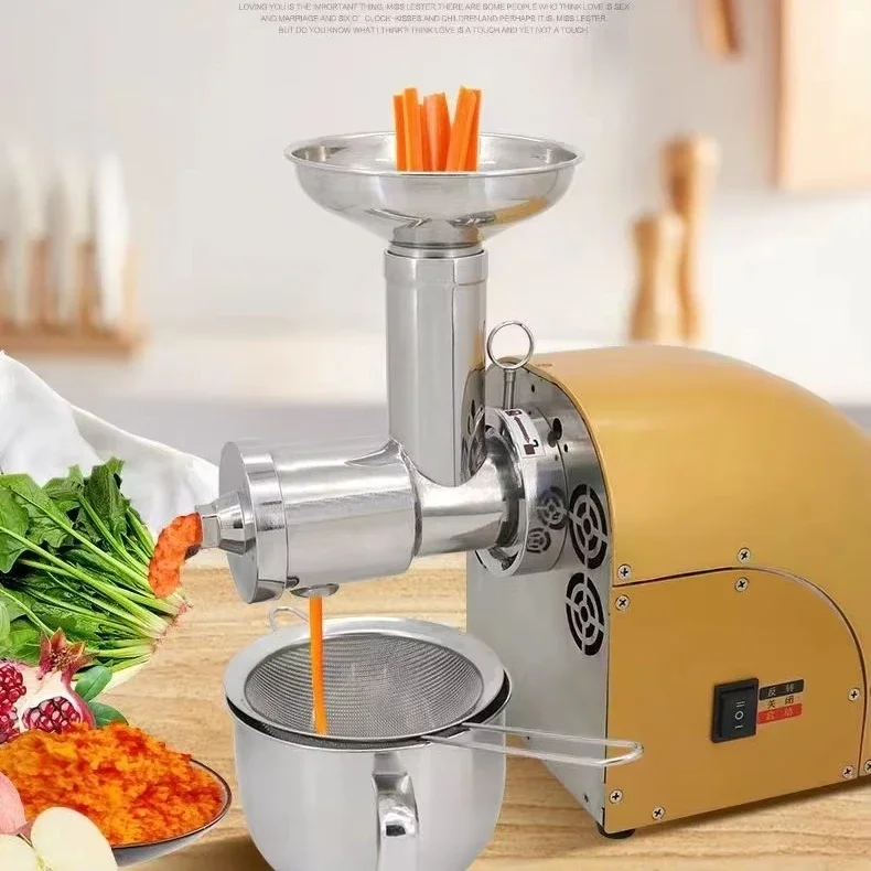 

fresh fruit Hot selling juicer extractor machine orange juicer slow cold press juicer compact size lower noise big mouth