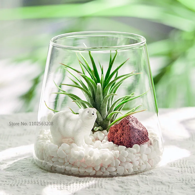 Multicultural Flower Pots Cultivation Landscape Vase Hair Water Wholesale Ecological Micro Water Glass Flower Simple Home Decor