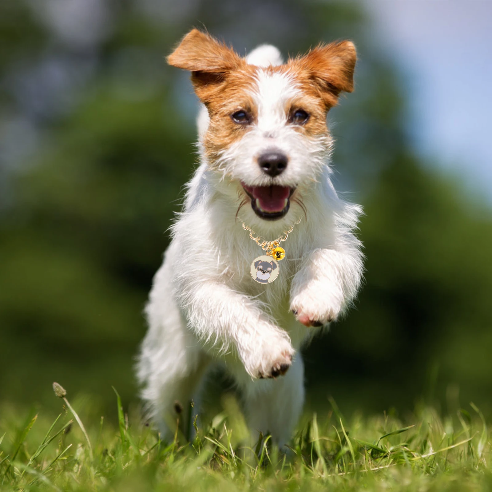 

Pet Dog Necklace Cat Chain Collars Rich Natural Colors Cool Decoration for Little Pets Exquisite Craftsmanship