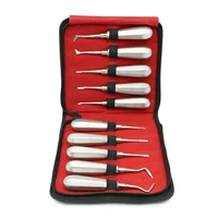 10 unids/set de elevador Dental, elevador de raíz curvada de acero inoxidable para extracción de dientes, herramientas quirúrgicas, instrumentos de dentista