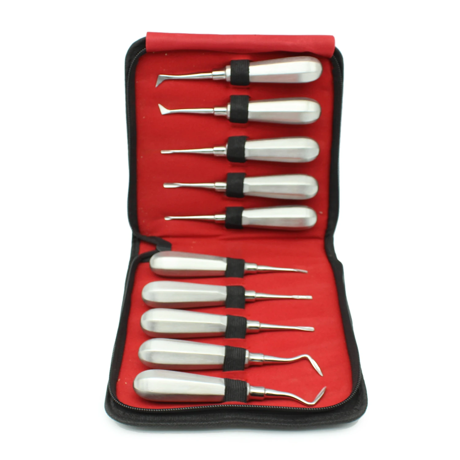 10pcs/set Dental Elevator Set Stainless Steel Curved Root Lift Elevator for Tooth Extracting Surgical Tools Dentist Instruments