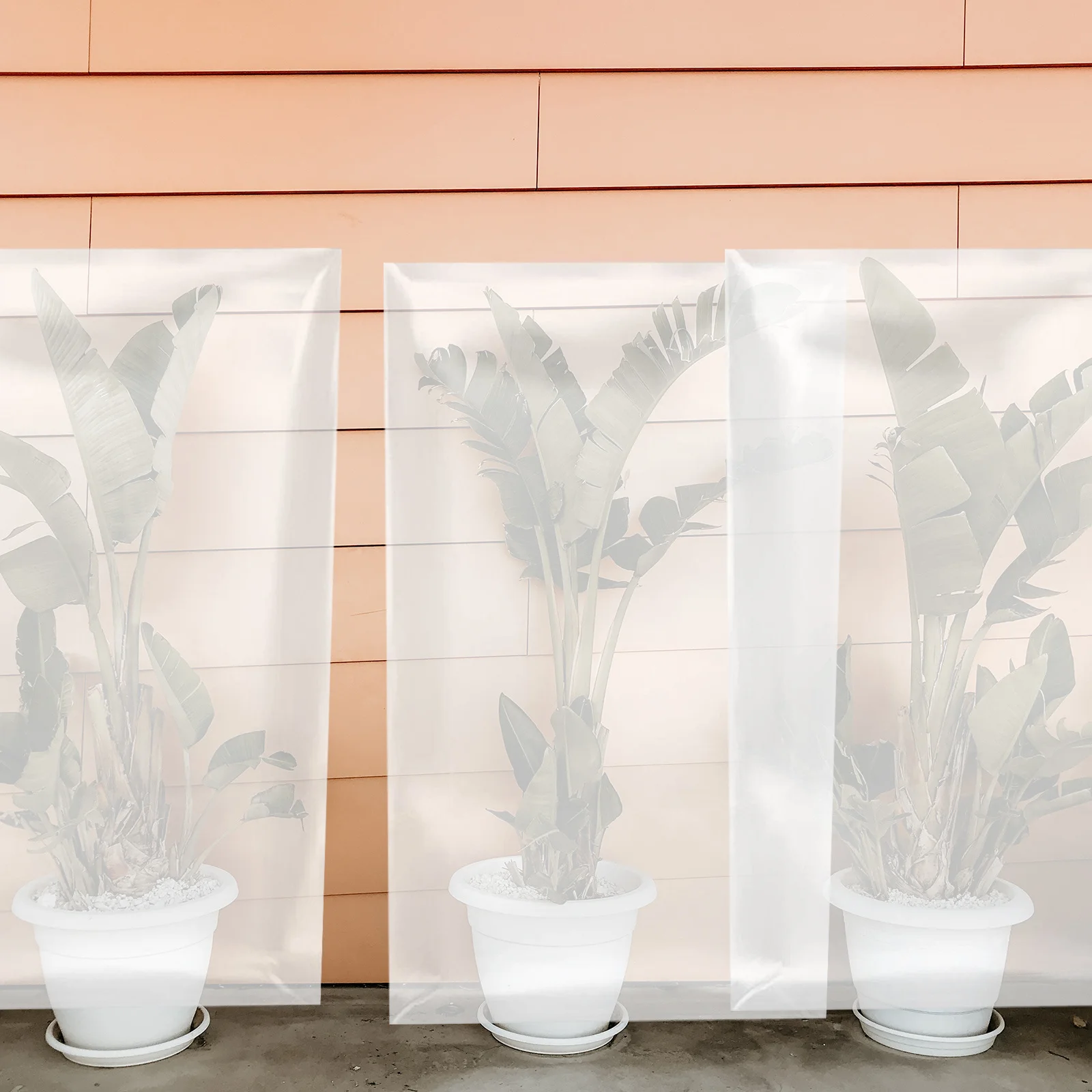 

3Pcs Plant Protective Cover Premium Wear Resistant Moisture Wind Rainproof Bag for Outdoor Plants Winter Warm Protection