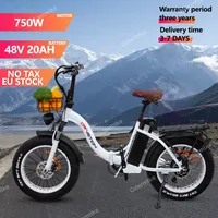 E Bike Folding 750W Powerful Motor 48v20ah Samsung Battery Adjustable Speed Electric Bike 20*4.0 Inch Fat Tire  Electric Bicycle