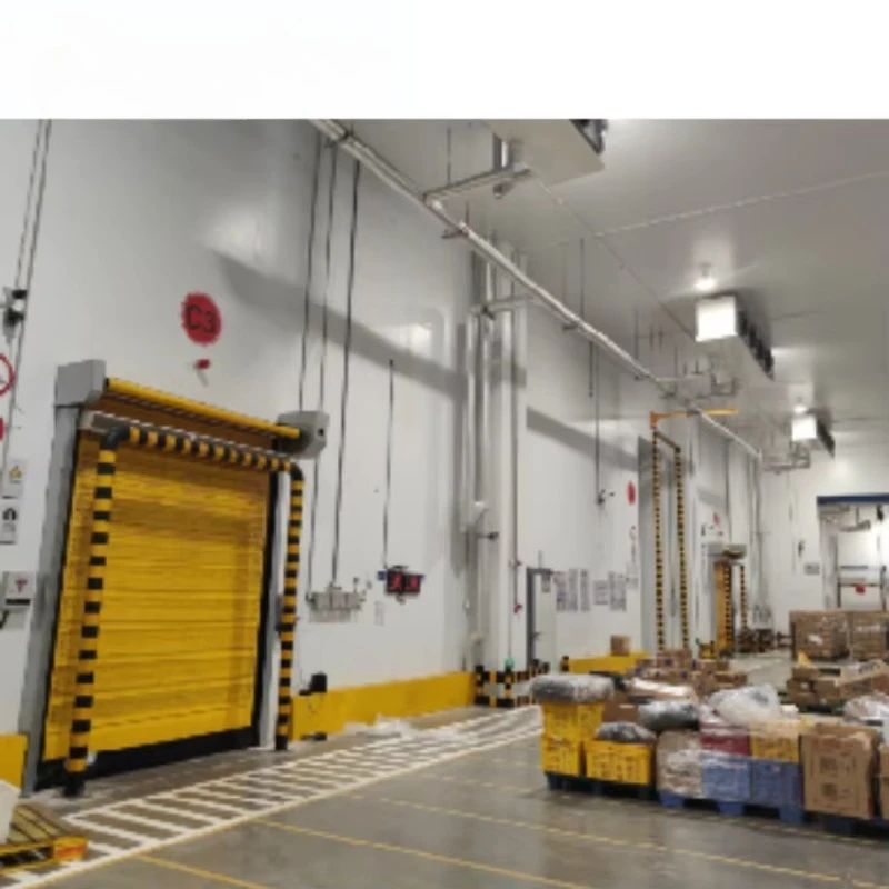 Customize Factory Customized Large Cold Room Storage Walk in Freezer Blast Freezing Room for Meat Fish Fruit and Vegetable