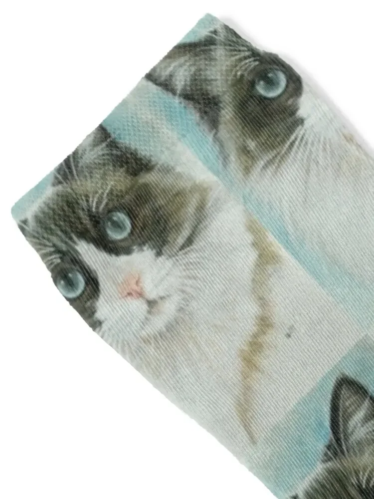 Ragdoll Portrait in Color Socks christmass gift football cycling Lots Women Socks Men's