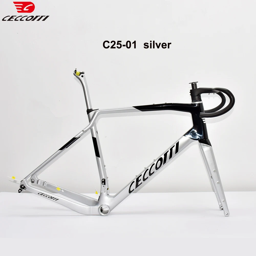 CECCOTTI-Carbon Frame with Hidden Cable, Gravel Frame Metal colored bicycle frame