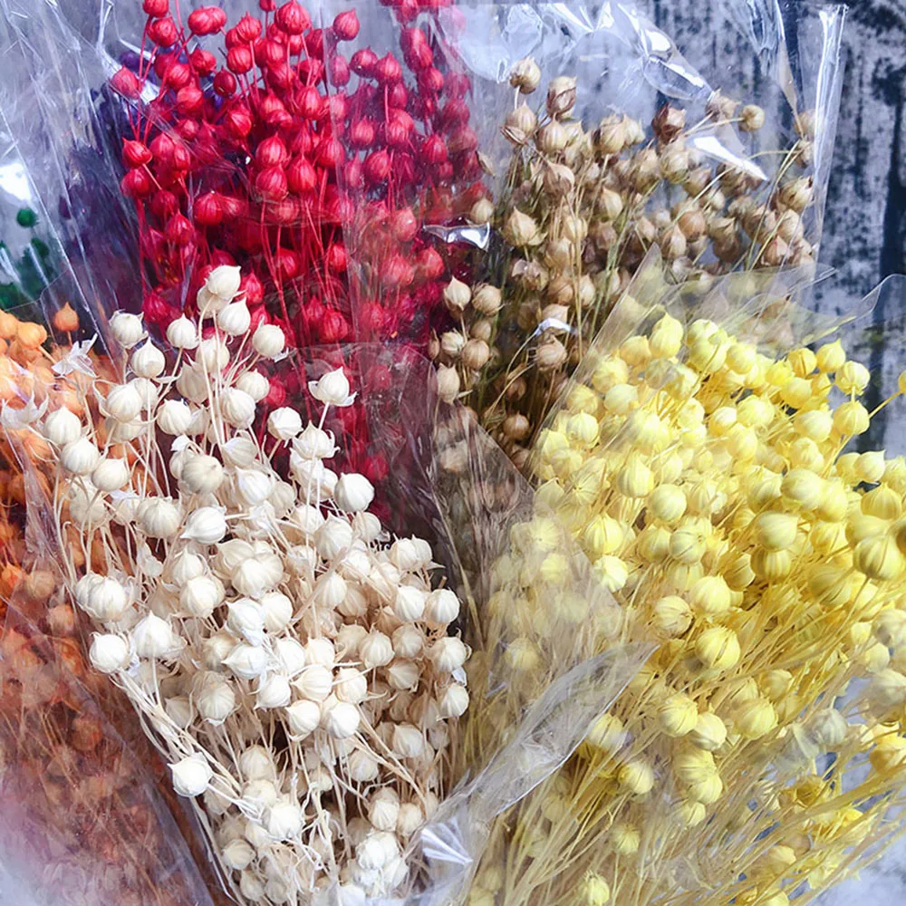 

80g Natural Real Acacia Beans Florals Rich Beans Romantic Dried Flowers Valentine's Day Home Rustic Wedding Decoration Bouquet