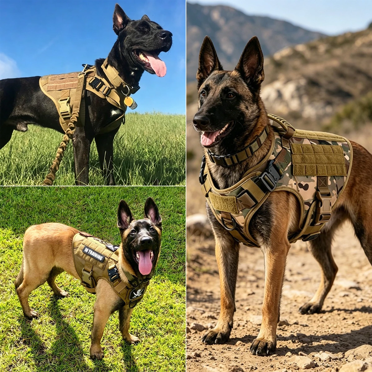 Arnés anti-tirones ajustable para perro grande y mediano, con correa - imagen 5