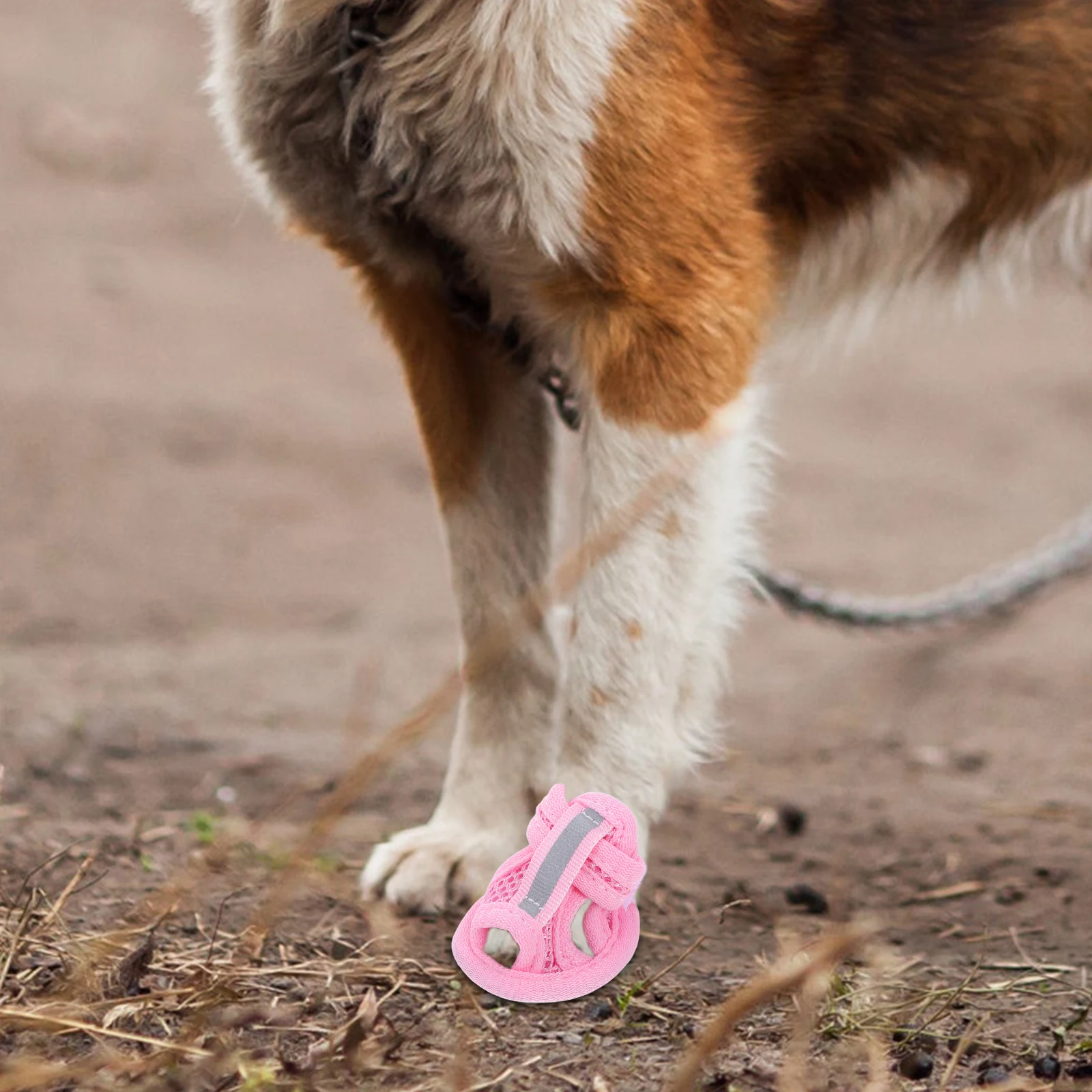 

4 Pcs Sandals Dog Slippers Mesh Breathable Pet Shoes for Dogs Sandles Boots Puppy Summer