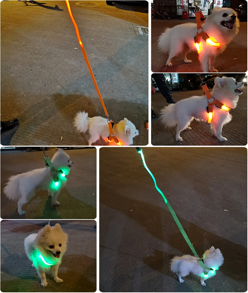 Einstellbare led hunde geschirr usb wiederauf ladbare blinkende nacht sicherheit keine zug halsbänder harness für kleine mittlere hunde haustiere arnes perro – Detail 4