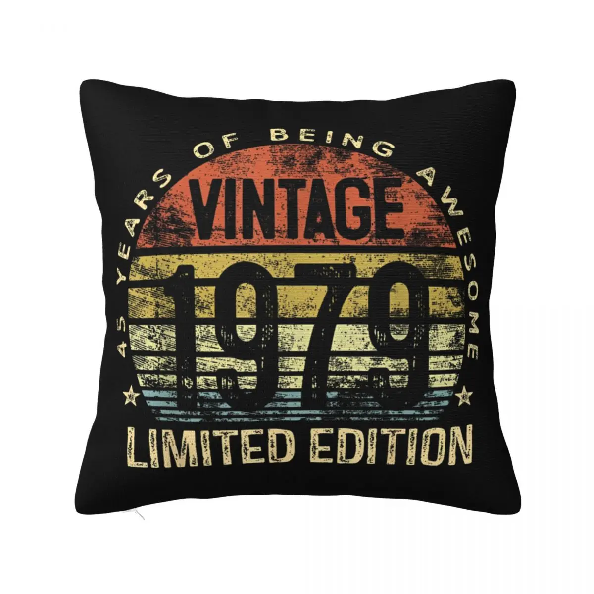 45 Year Old Gifts Vintage 1979 Pillow Case Limited Edition 45th Birthday Cushion Covers Decor Throw Pillow Case Cover for Sofa