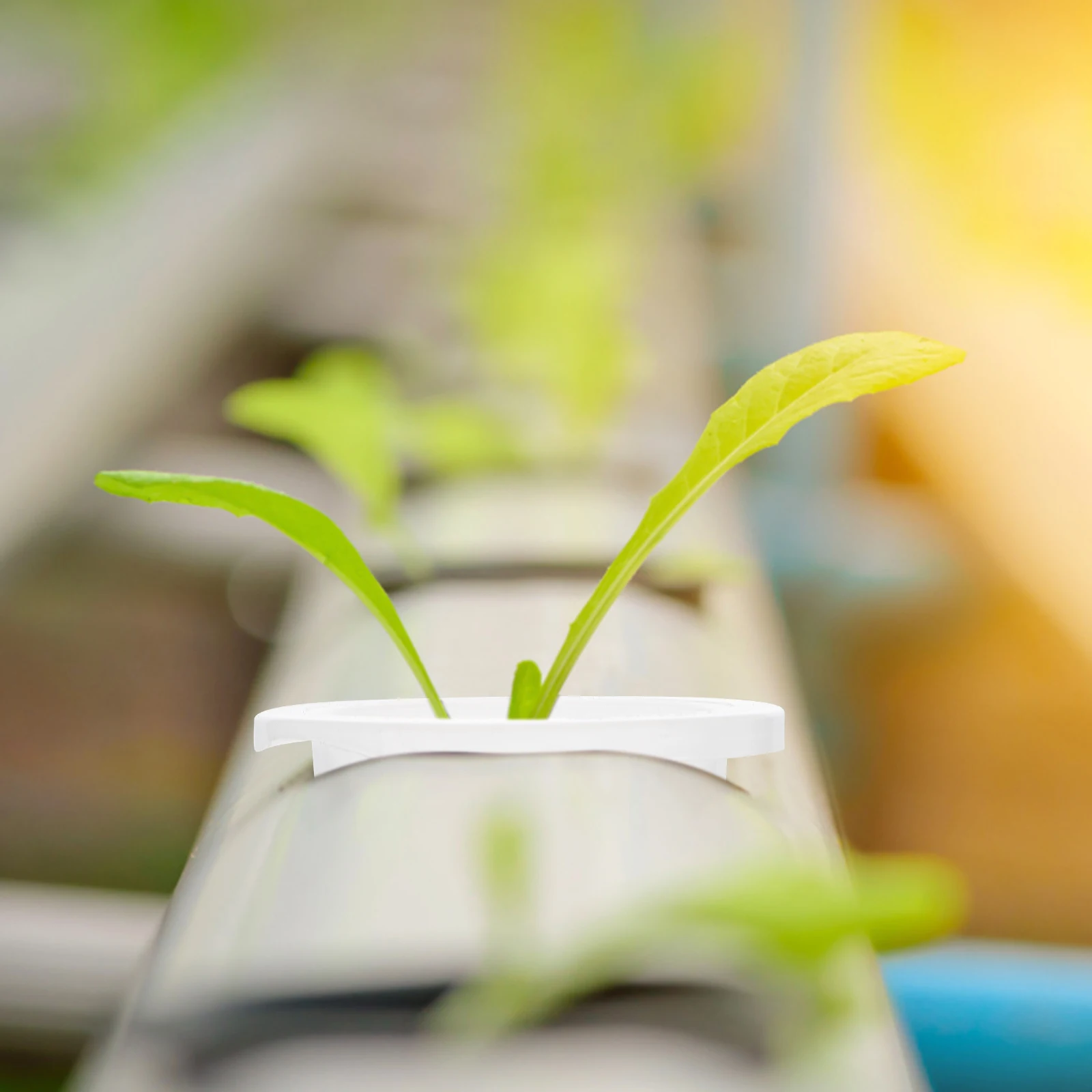 

50 Pcs Hydroponic Vegetable Baskets Garden Mesh Net Pot Clear Slotted Nursery Cups for Systems Plant Growth