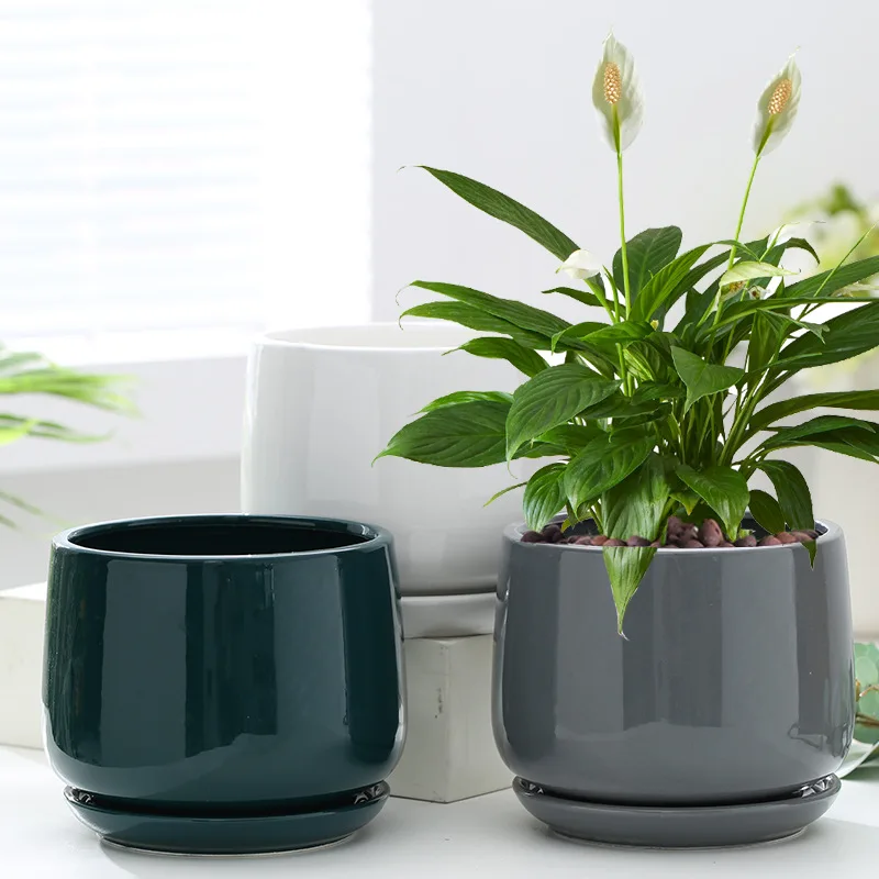 Creative Large and Extra Large Ceramic Flowerpot for Stunning Plant Display