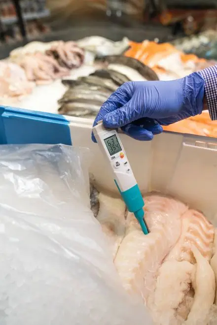Original Testo 206 PH1 Digital PH Meter 0563 2061 Temperature Meter for Semisolid 0-14PH