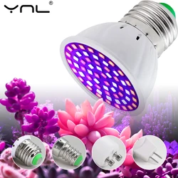 Lámpara Phyto de espectro completo para cultivo de plantas, luz LED para tienda de campaña, invernadero de semillas de flores, E27, E14, GU10, AC220V, 2 piezas